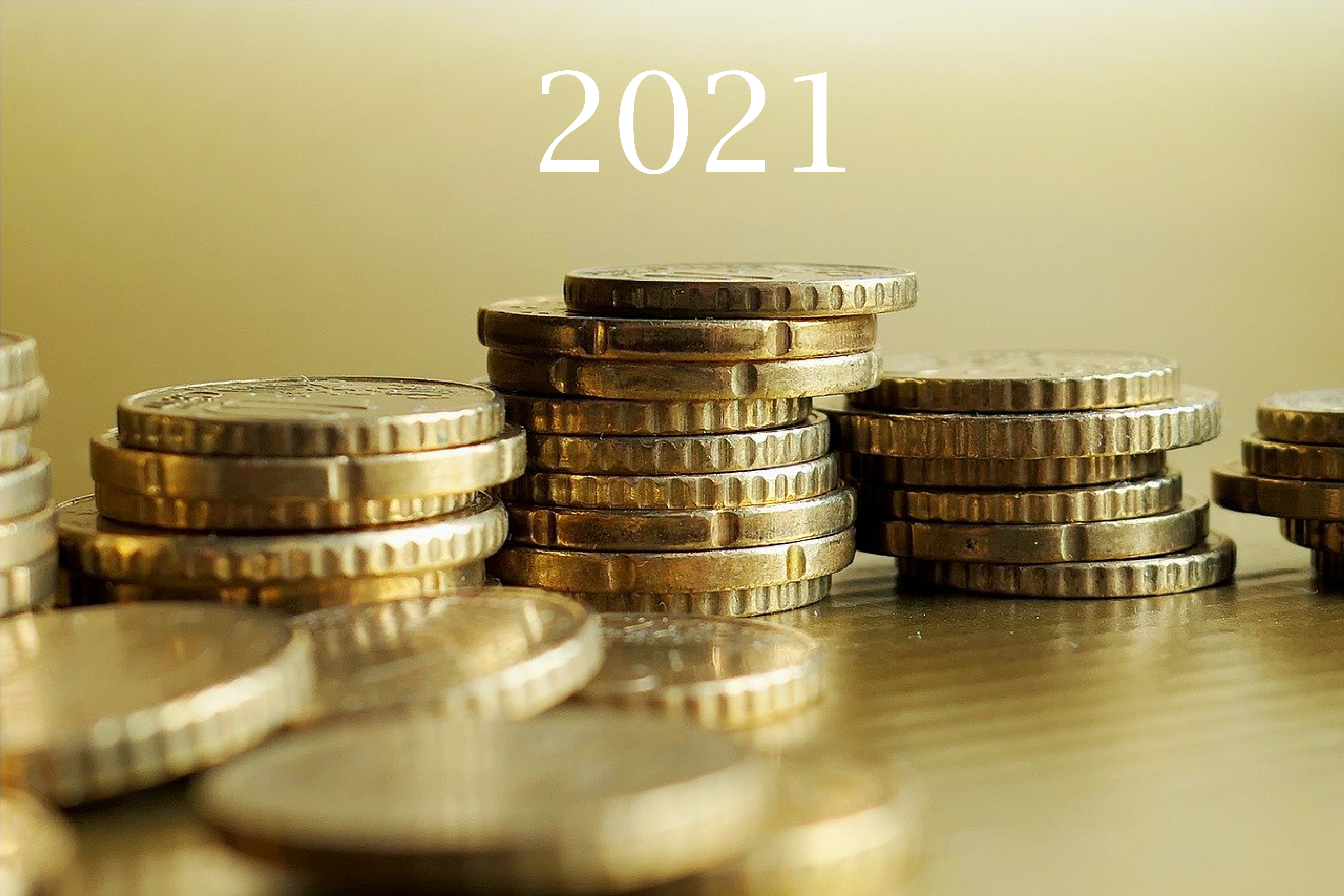 Pieņem 2021. gada valsts budžetu