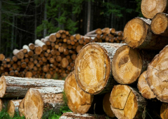 Kokmateriālu iegāde PVN deklarācijā