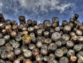Уточняют применение НДС в сделках с лесоматериалами и металлоломом