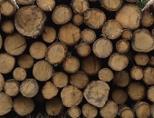 Kā jānoformē pavadzīme par kokmateriāliem?