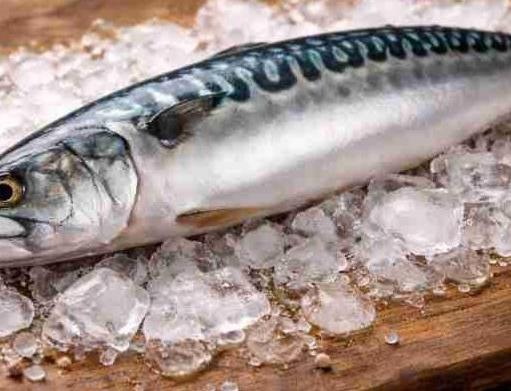 Новые тарифные квоты на рыбу происхождения Кабо-Верде