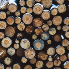 Как применять НДС к поставкам лесоматериалов?