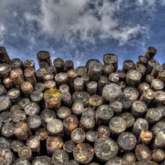 Precizē PVN piemērošanu darījumos ar kokmateriāliem un metāllūžņiem