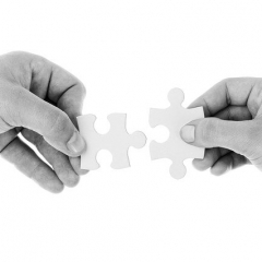 Как сообщать о работнике, у которого нет сертификата о вакцинации?