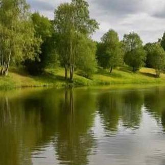 В рыбном хозяйстве поддержку ЕС выделят в виде упрощенных затрат