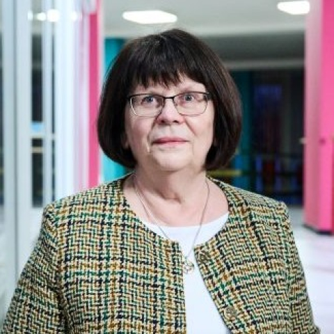 Pakalpojumi no nerezidenta – jāmaksā IIN?