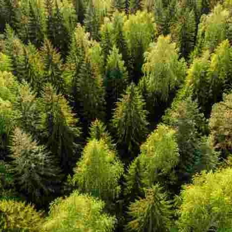 Nodokļu atvieglojumus speciālajās ekonomiskajās zonās pagarinās līdz 2050.gadam