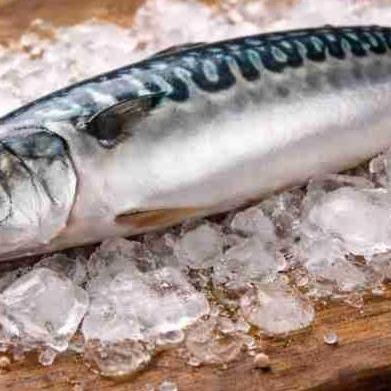 Новые тарифные квоты на рыбу происхождения Кабо-Верде