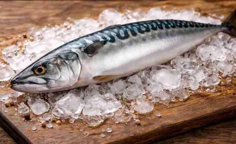 Jaunas tarifu kvotas Kaboverdes izcelsmes zivīm